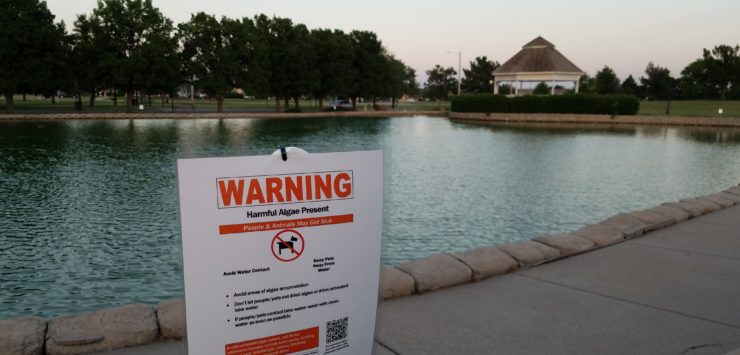 Salina Park Pond Remains Unsafe