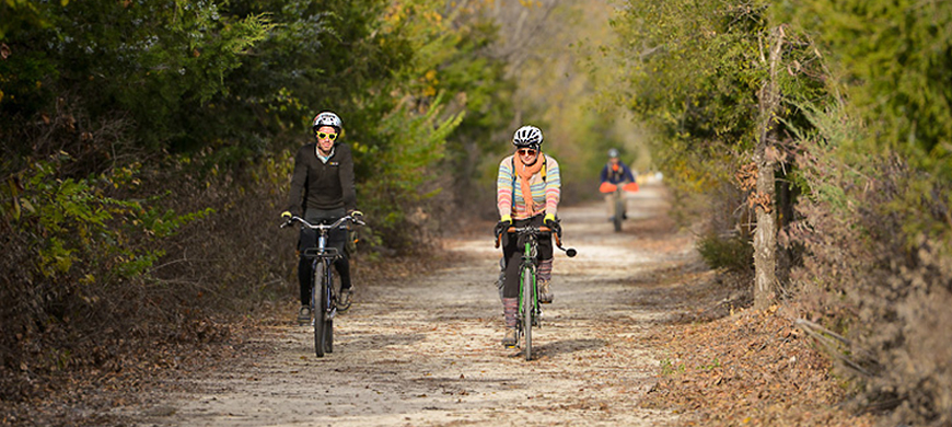 best bikes for bike parks