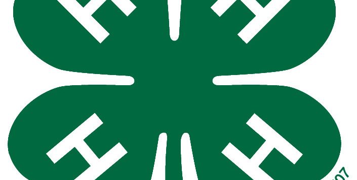 Kansas 4-H Preps For Online Summer Camp